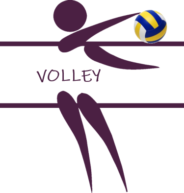 Volley